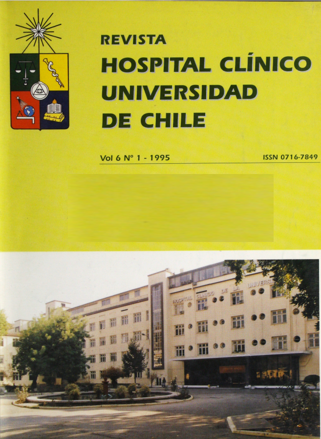 							Ver Vol. 6 Núm. 1 (1995)
						